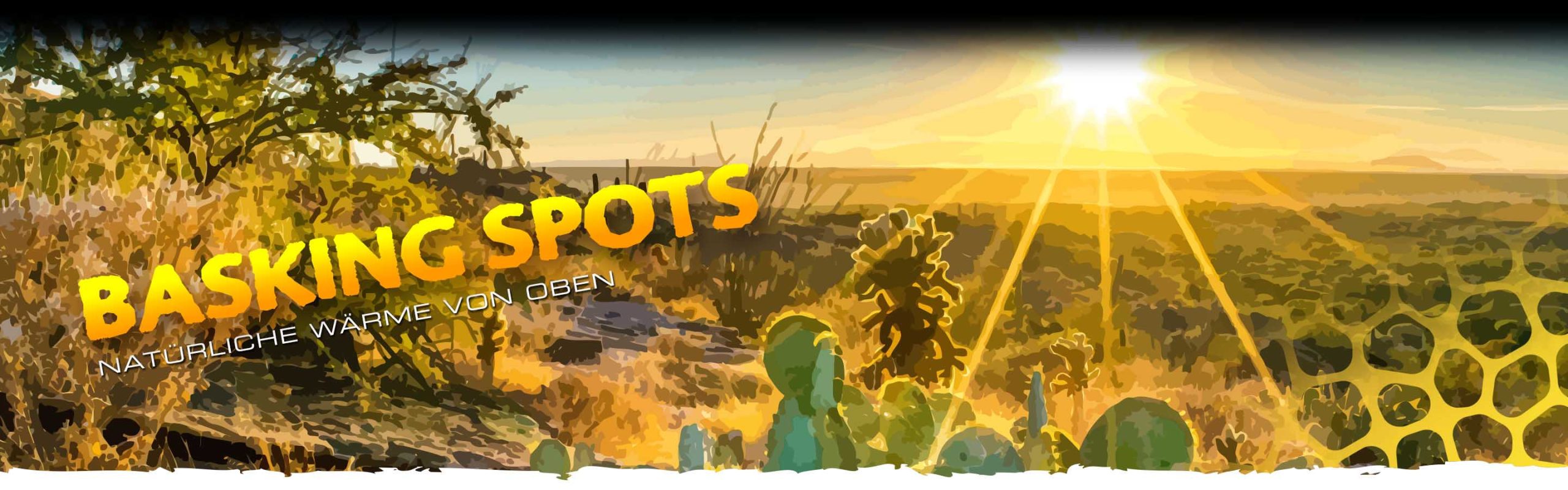 Basking_Spot_Bulbs_Header_Voronoi_subcat_DE Basking Spots Header
