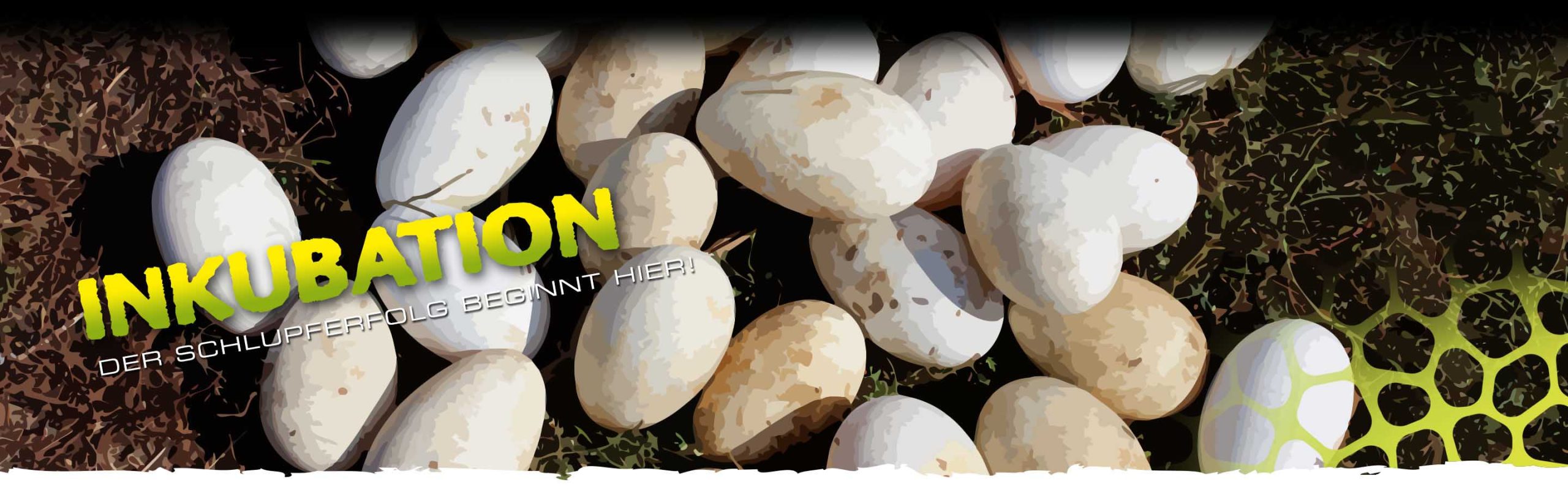 Incubation_Header_Voronoi_subcat_DE Incubation Header