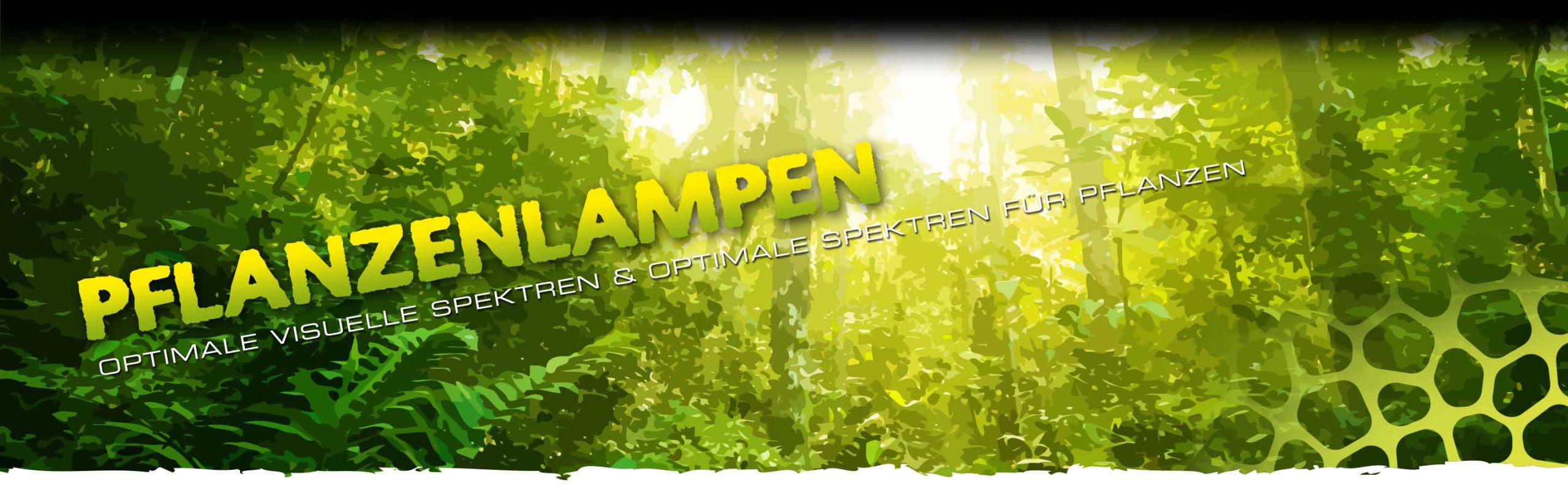 Plant Lamps Header