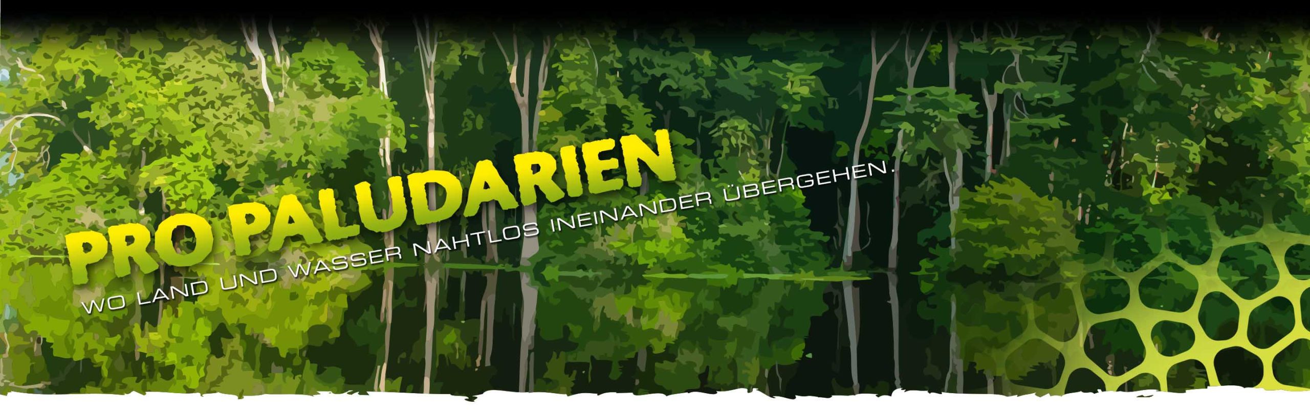 Pro_Paludariums_Header_Voronoi_subcat_DE Frog Terrariums Header