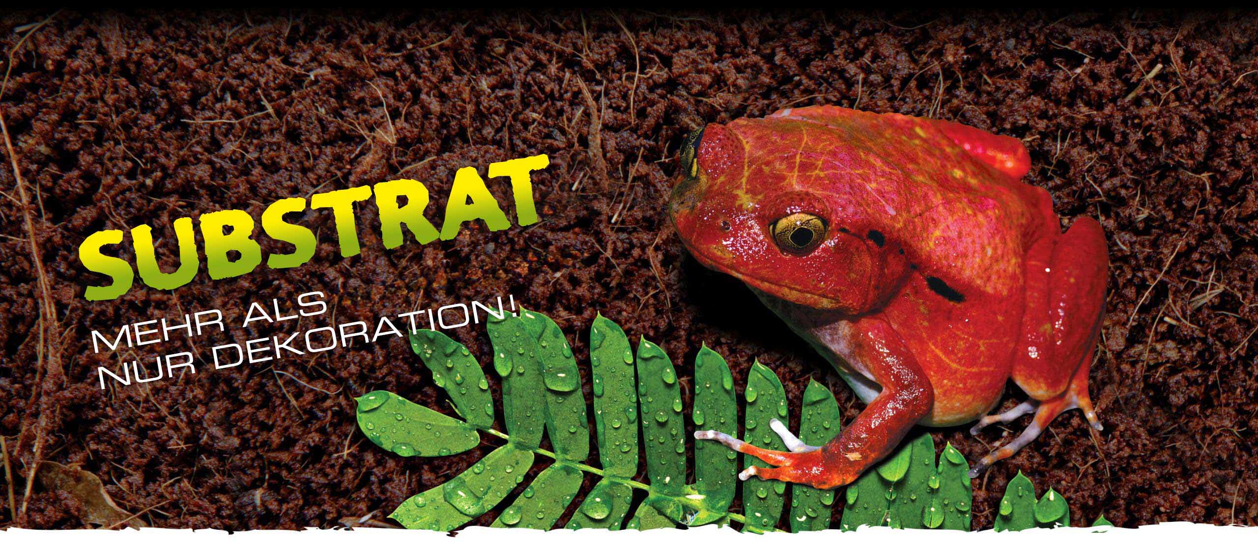 Substrates: not just for decoration