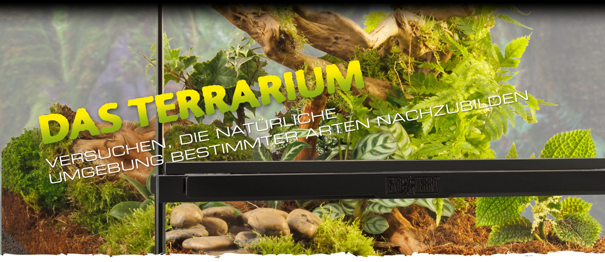 The terrarium is without doubt the most important aspect of successful reptile and amphibian keeping.