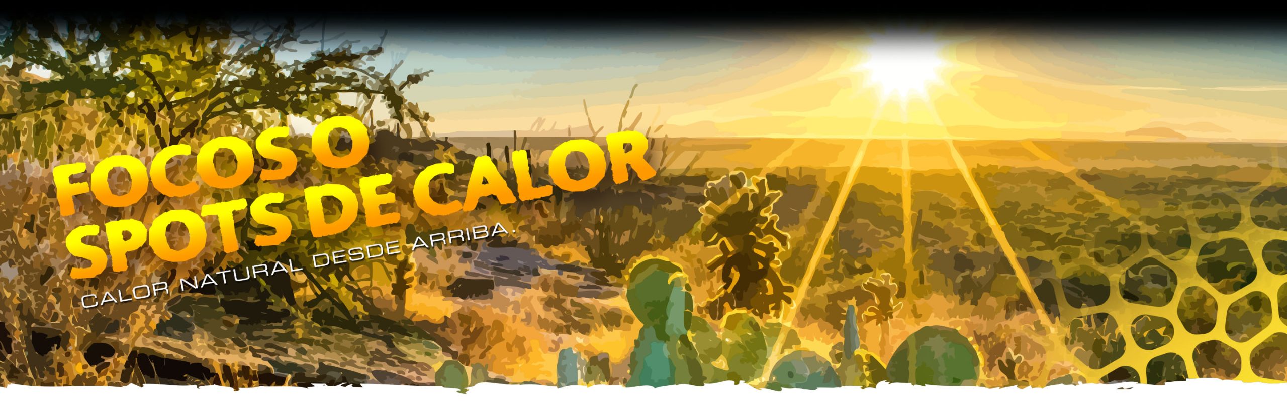 Basking_Spot_Bulbs_Header_Voronoi_subcat_ES Basking Spots Header