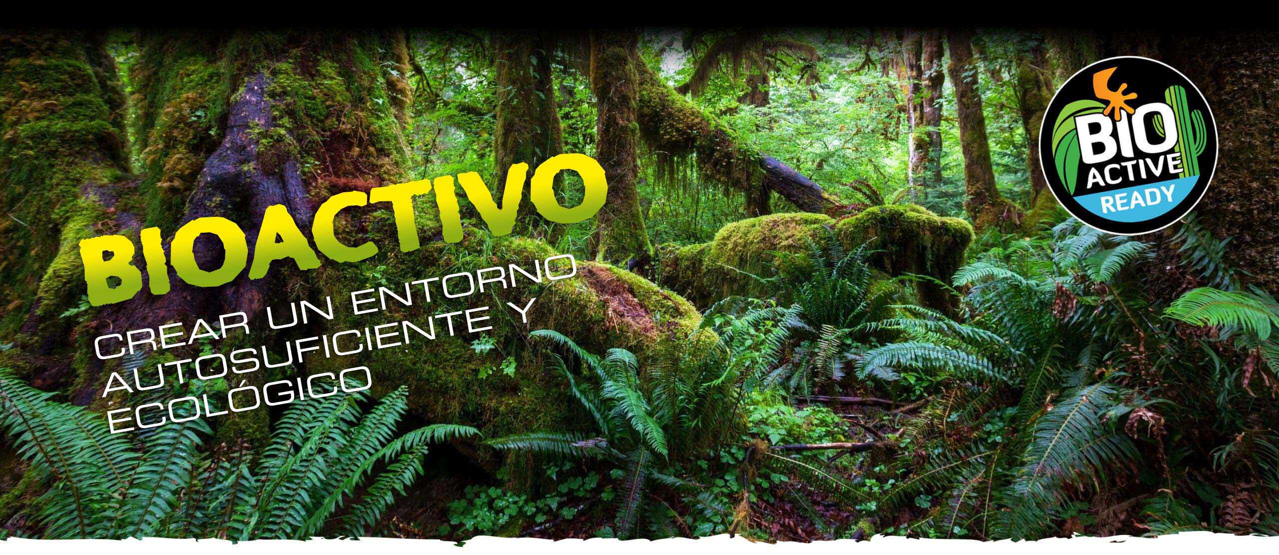 Bioactive_grouped_header The bioactive terrarium