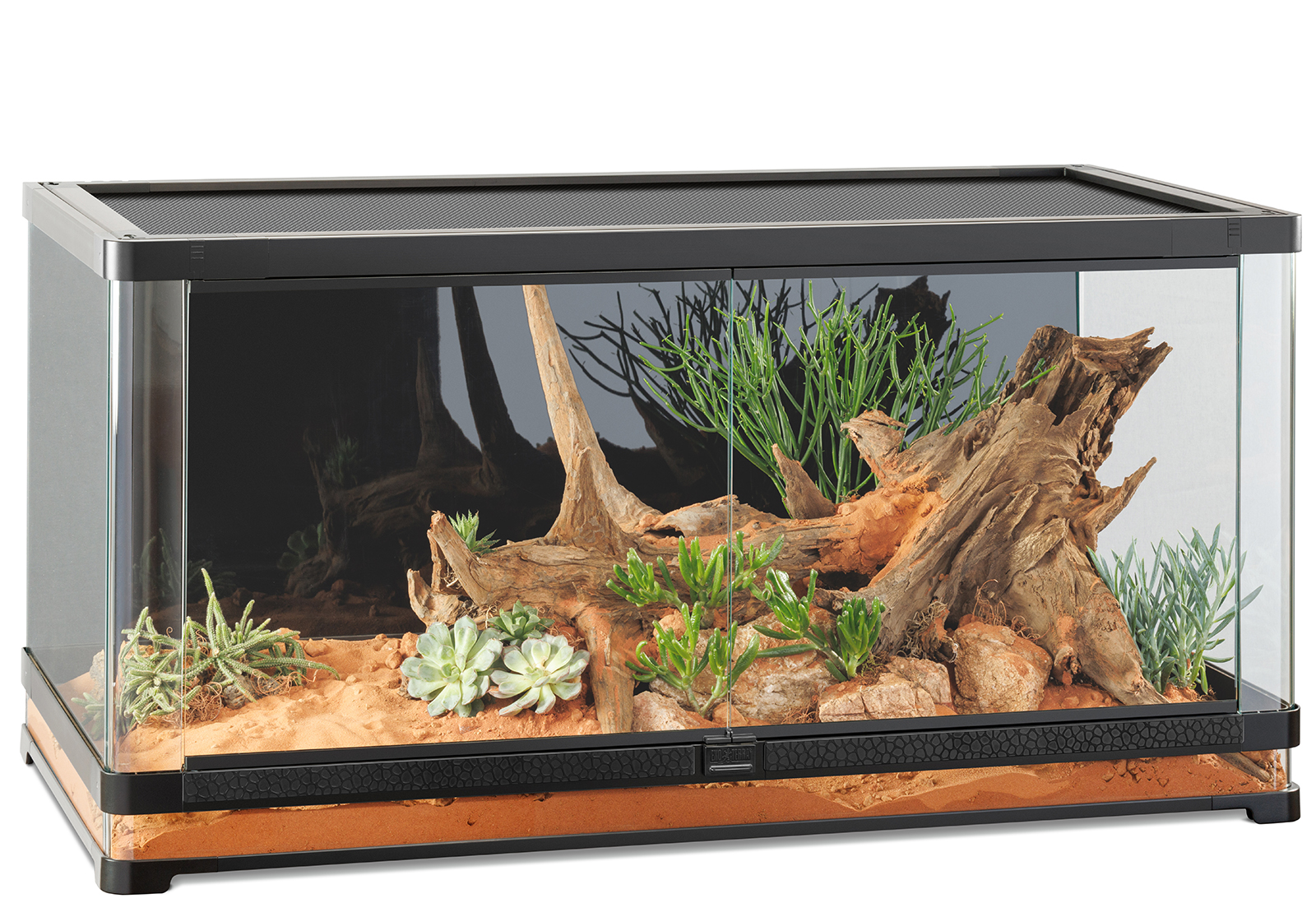 Category_vista_terrariums 25 Años De Innovación