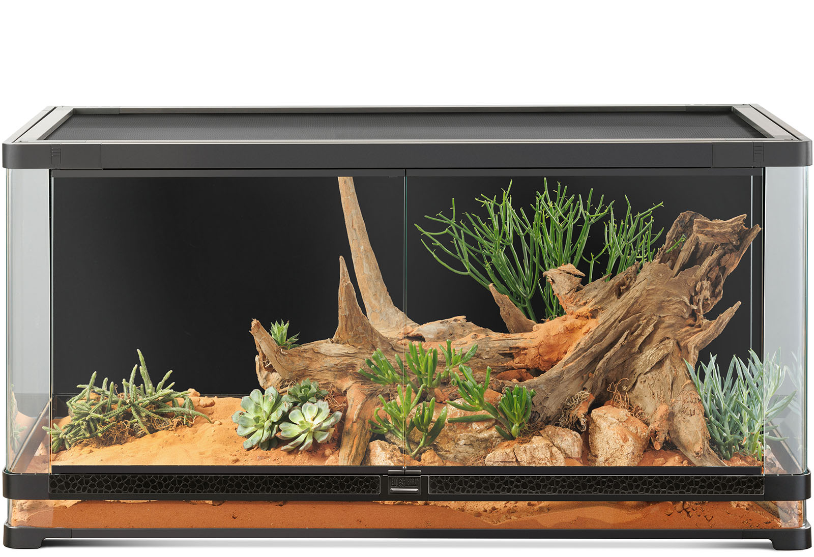 Category_vista_terrariums (1) Terrarios