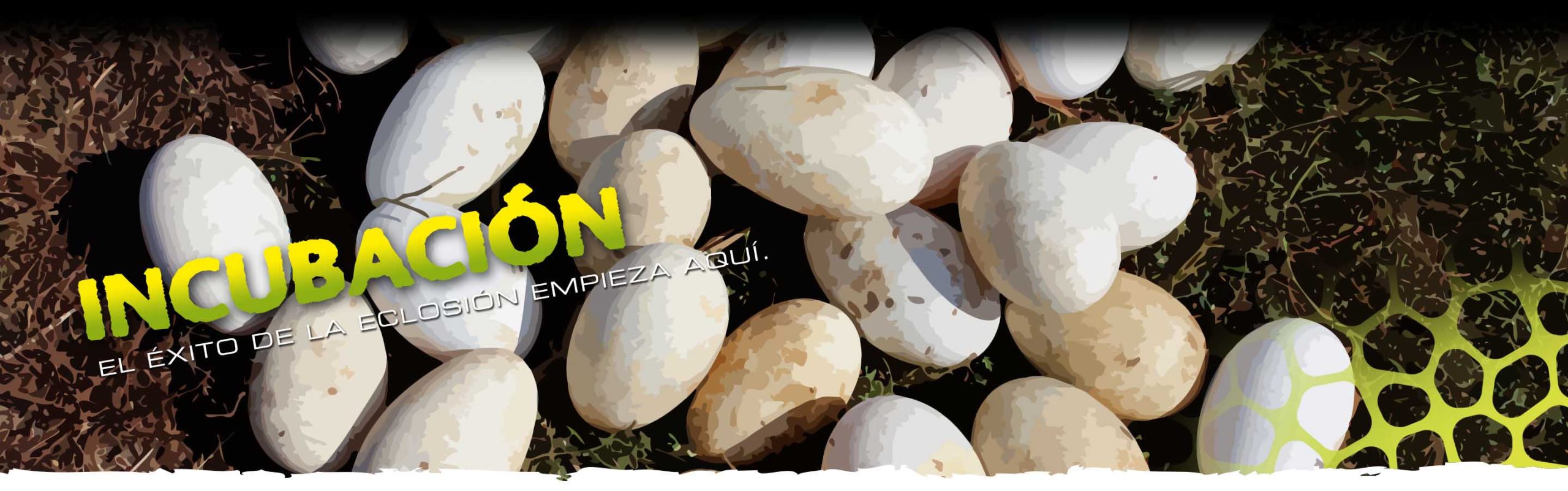 Incubation Header