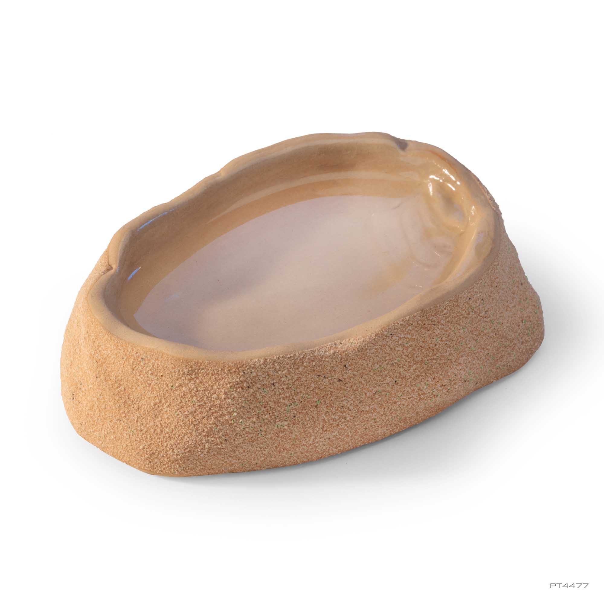 Terrarium Dish Medium