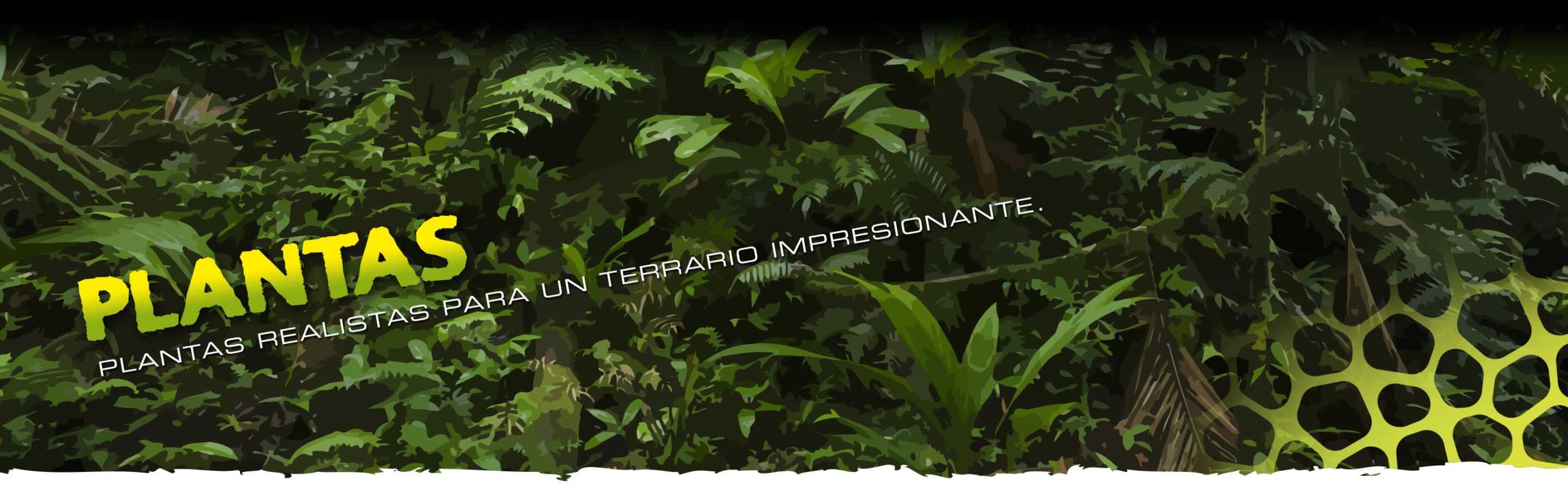 Plants_Header_Voronoi_subcat_ES Plantas