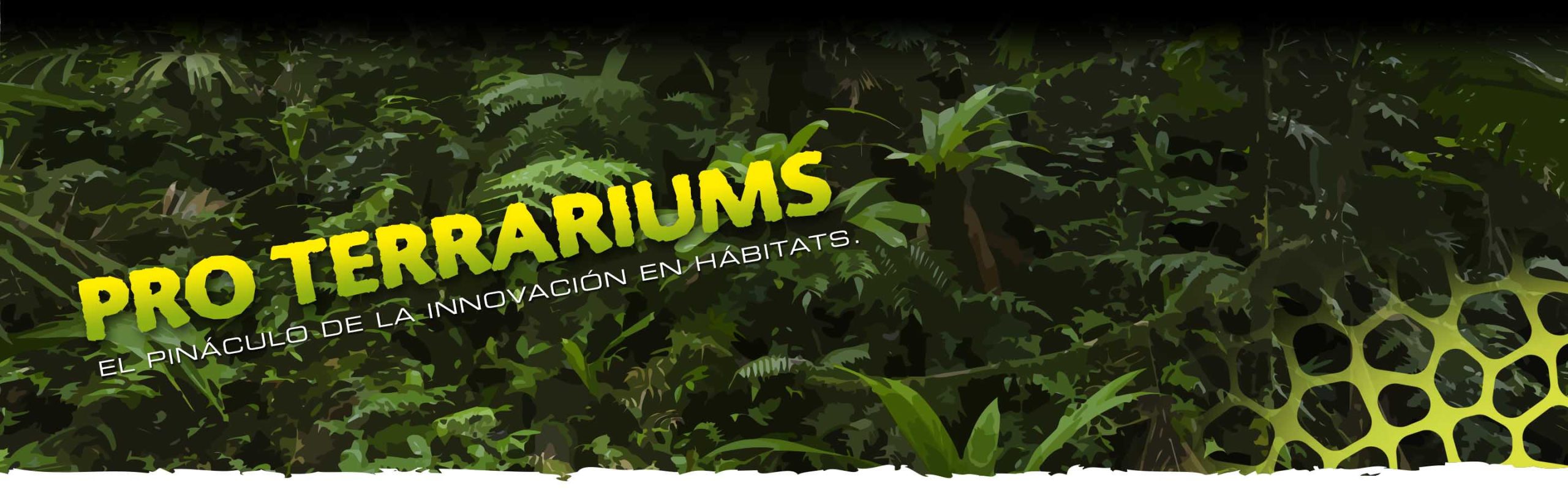 Pro_Terrariums_Header_Voronoi_subcat_ES Pro Terrariums