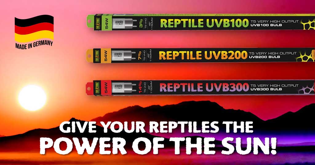 Nueva iluminaci&oacute;n UVB VHO T5