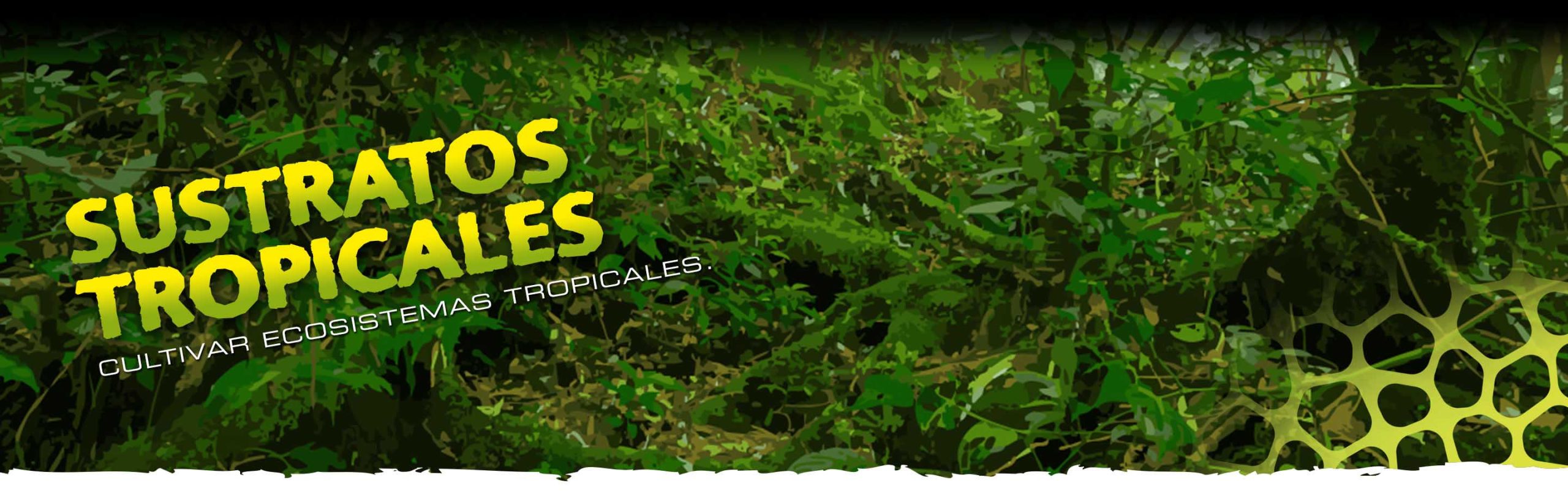 Tropical_Substrates_Terrariums_Header_Voronoi_subcat_ES Tropical Substrates Header