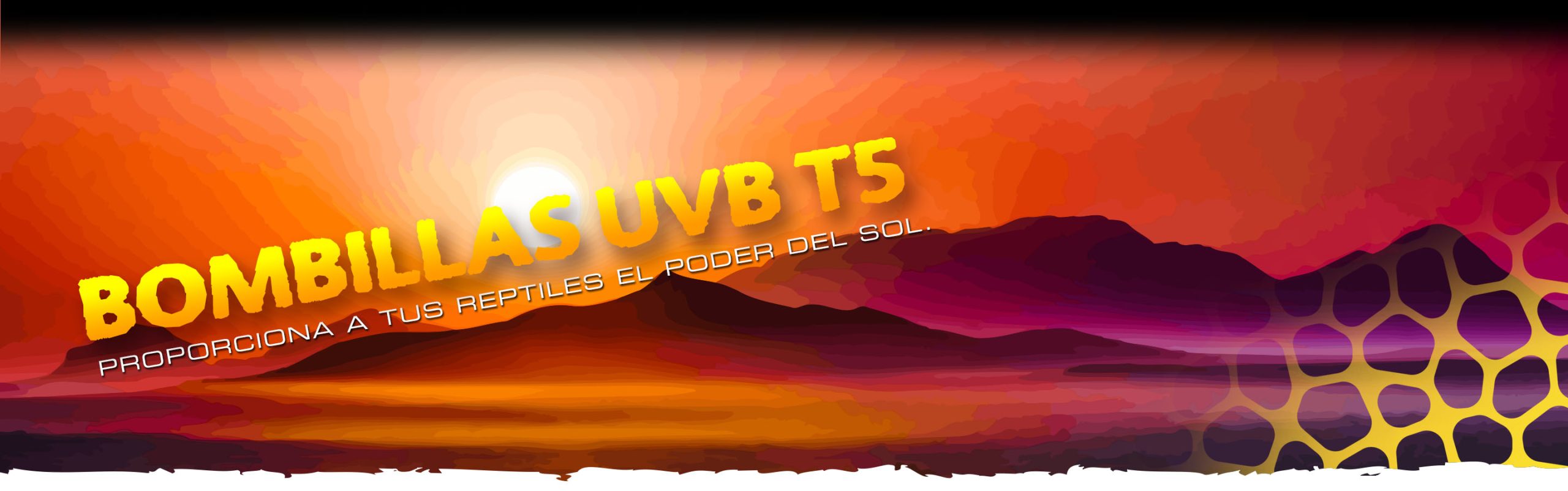 UVB_T5_Bulbs_Header_Voronoi_subcat_ES Ultraviolet Lights Header