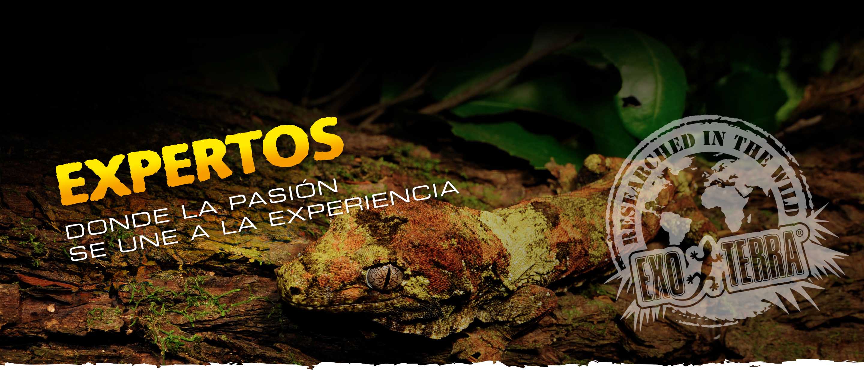 about-experts Meet the Exo Terra Experts