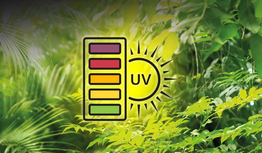 &iquest;Qu&eacute; Es La UV-B?