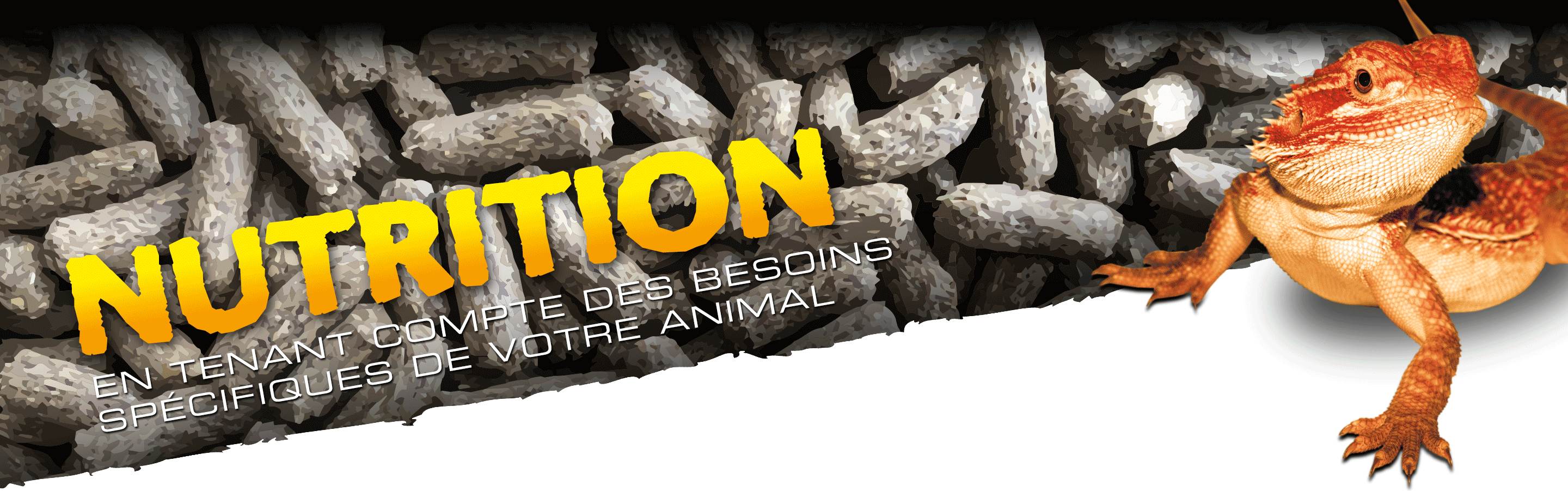 Nutrition_Cat_Header Nutrition