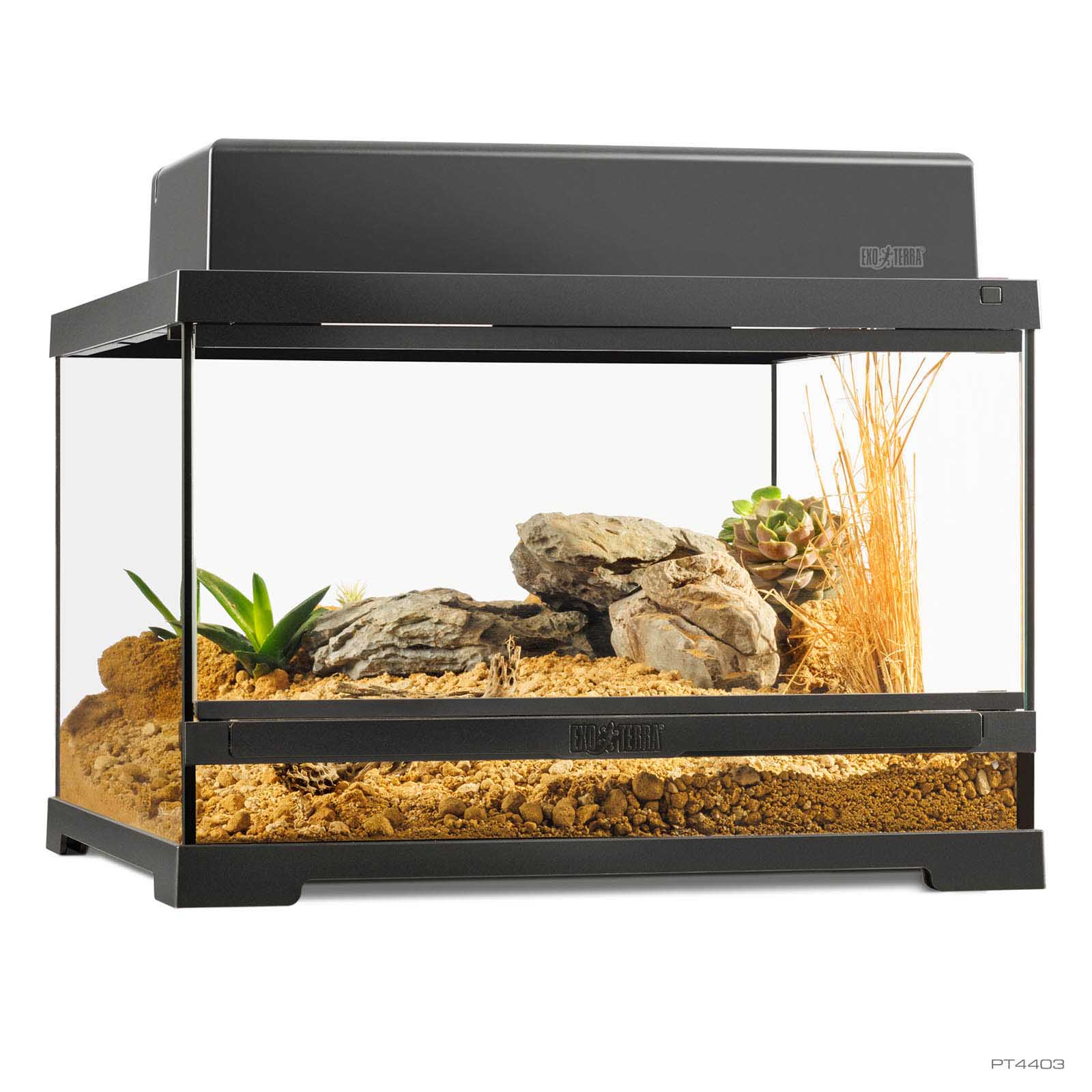 Pro Terrarium Small Low
