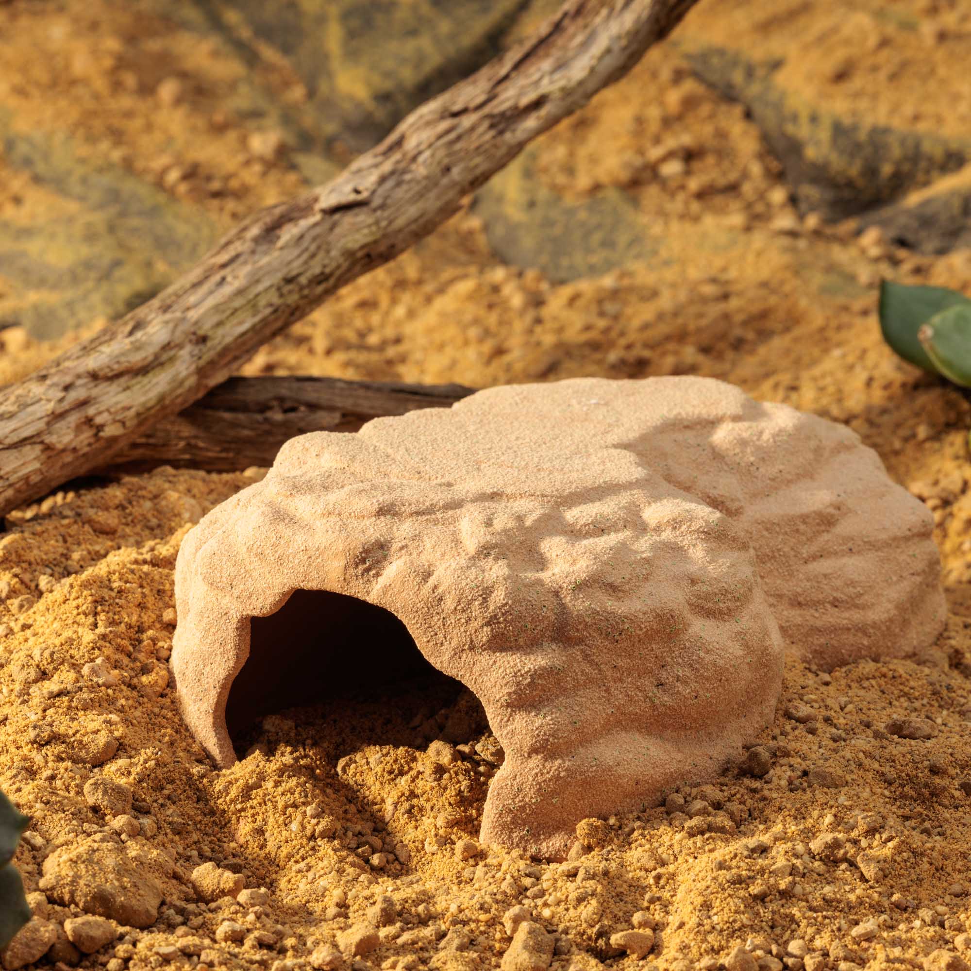 Terrarium Den Medium – Image 6