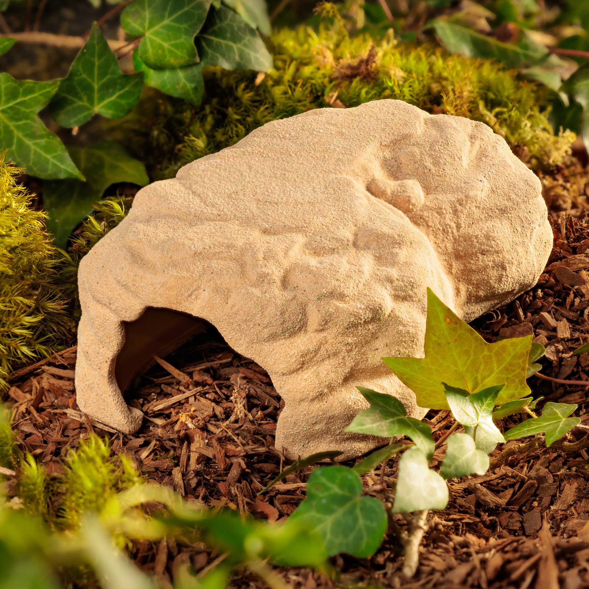 Terrarium Den Medium – Image 7