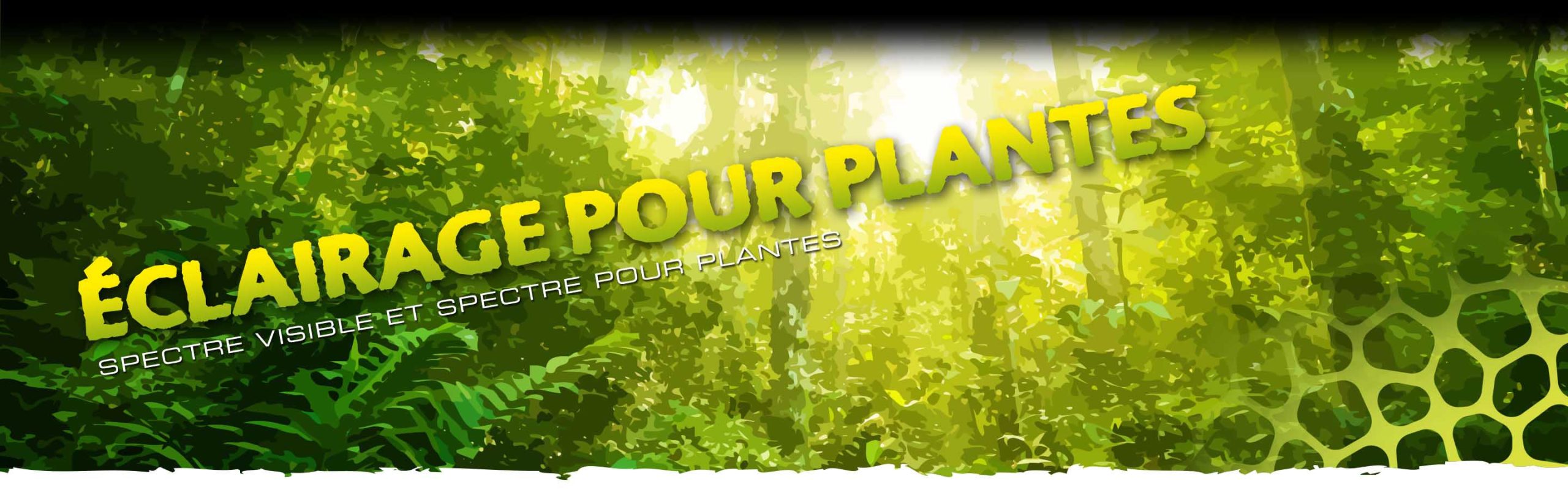 Plant Lamps Header