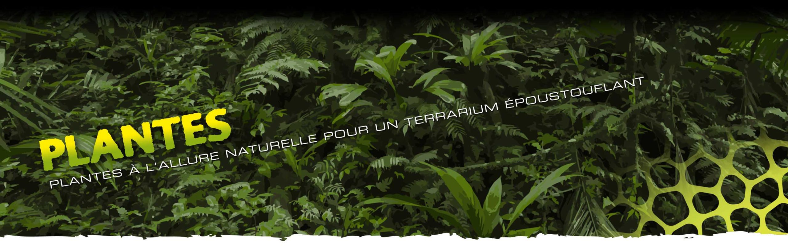 Plants_Header_Voronoi_subcat_FR Plantes