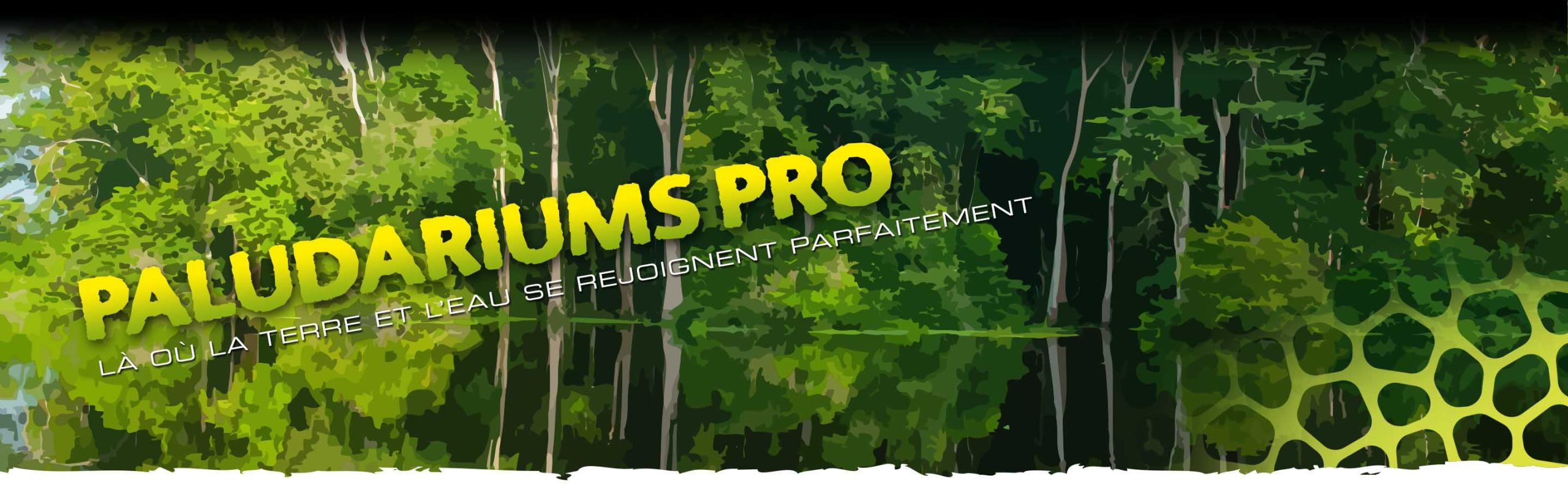 Pro_Paludariums_Header_Voronoi_subcat_FR Paludariums Pro