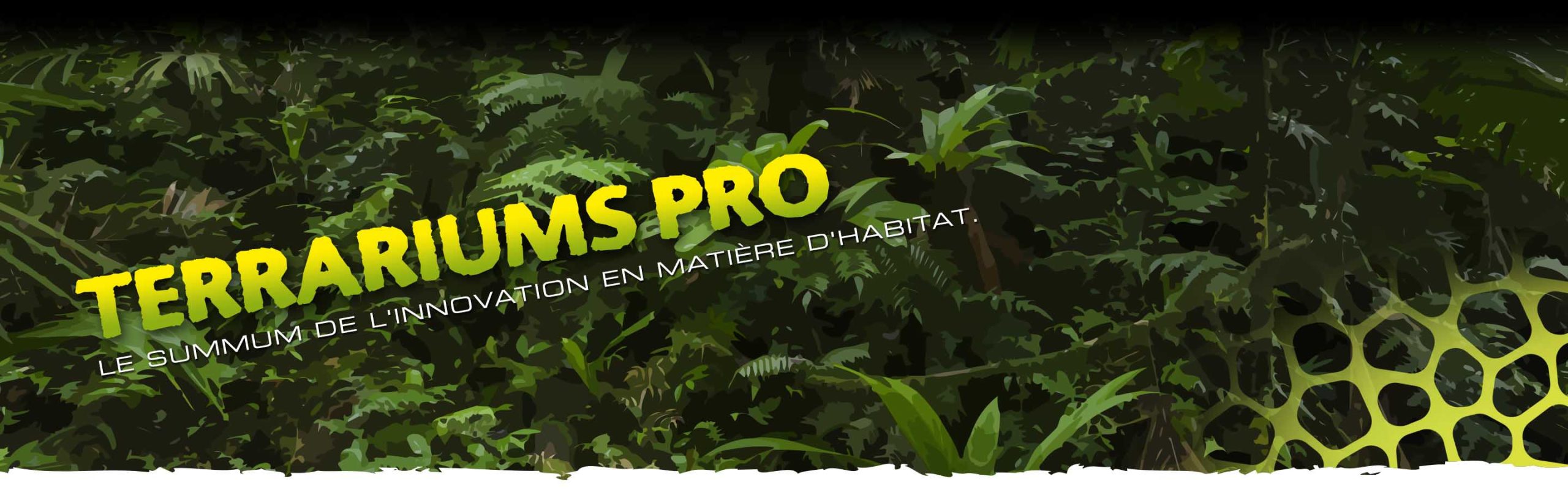 Pro_Terrariums_Header_Voronoi_subcat_FR Terrariums Pro