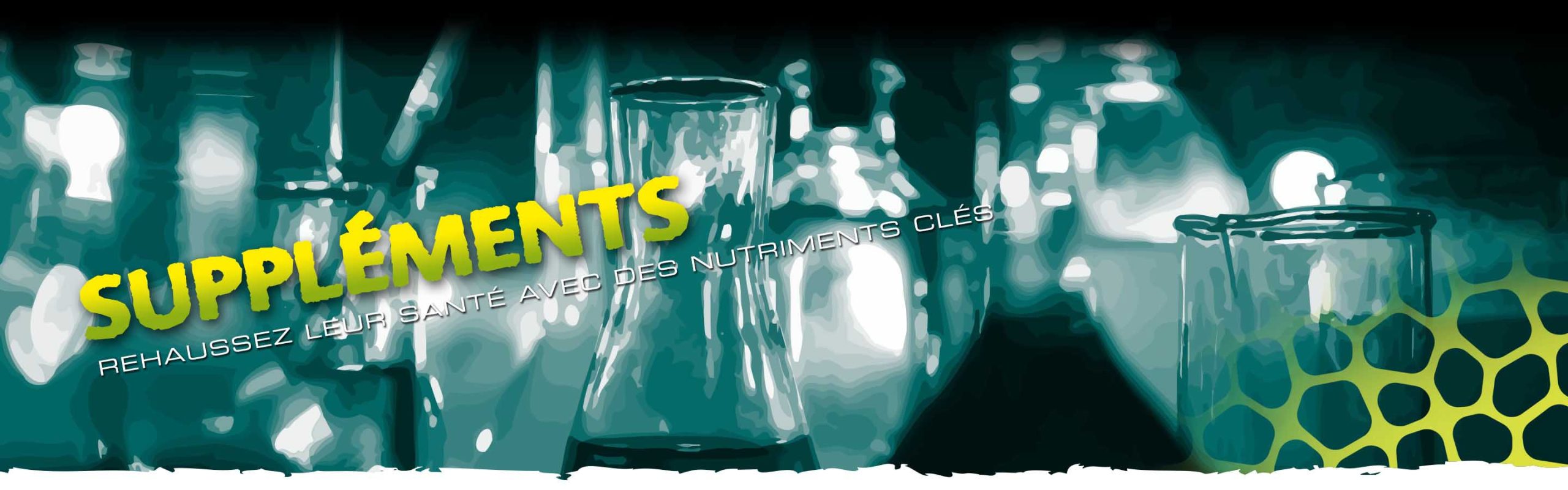 Header Supplements