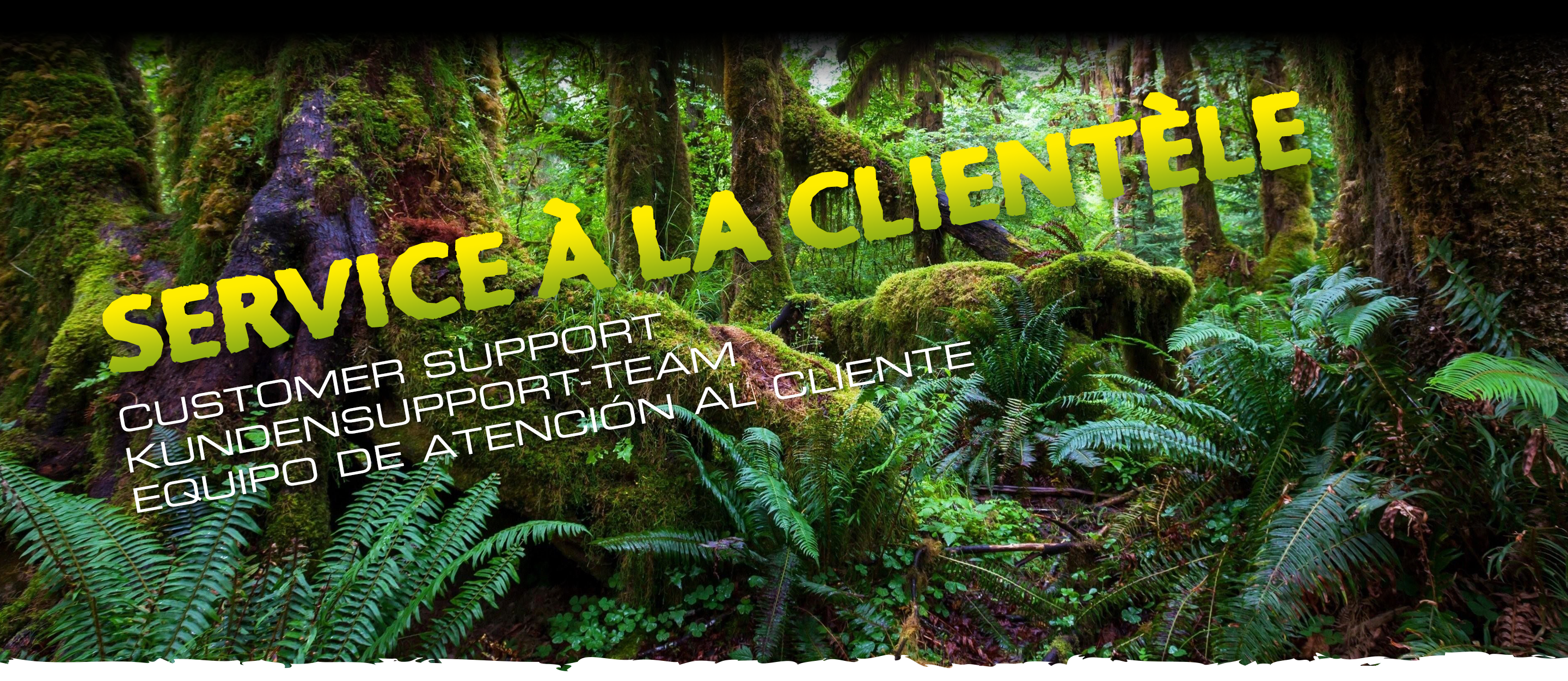 Support_header_en_fr_de_es Global Customer Support
