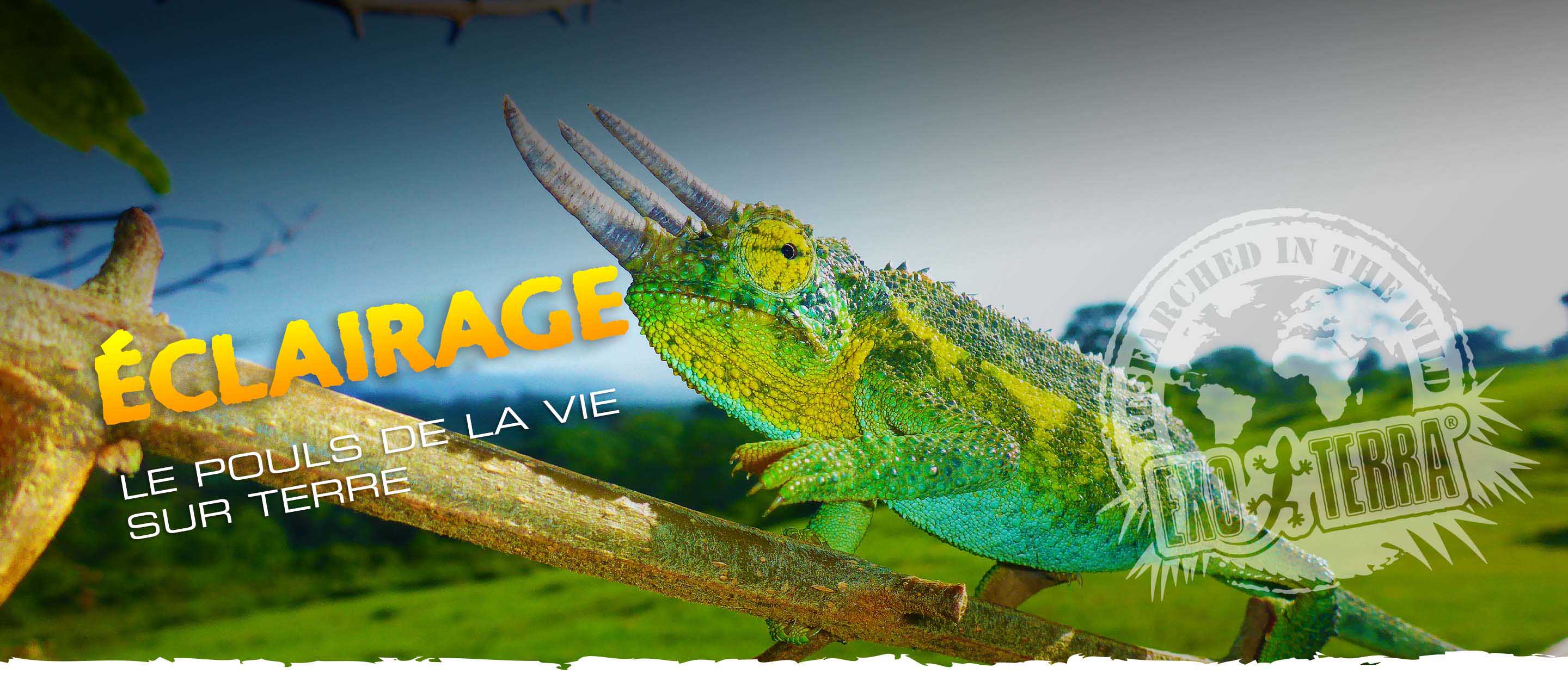 &Eacute;clairage