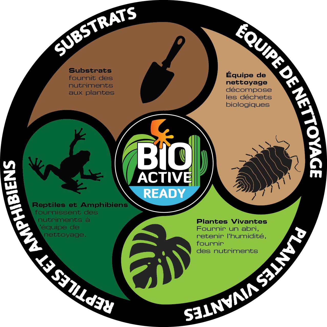 Bioactive