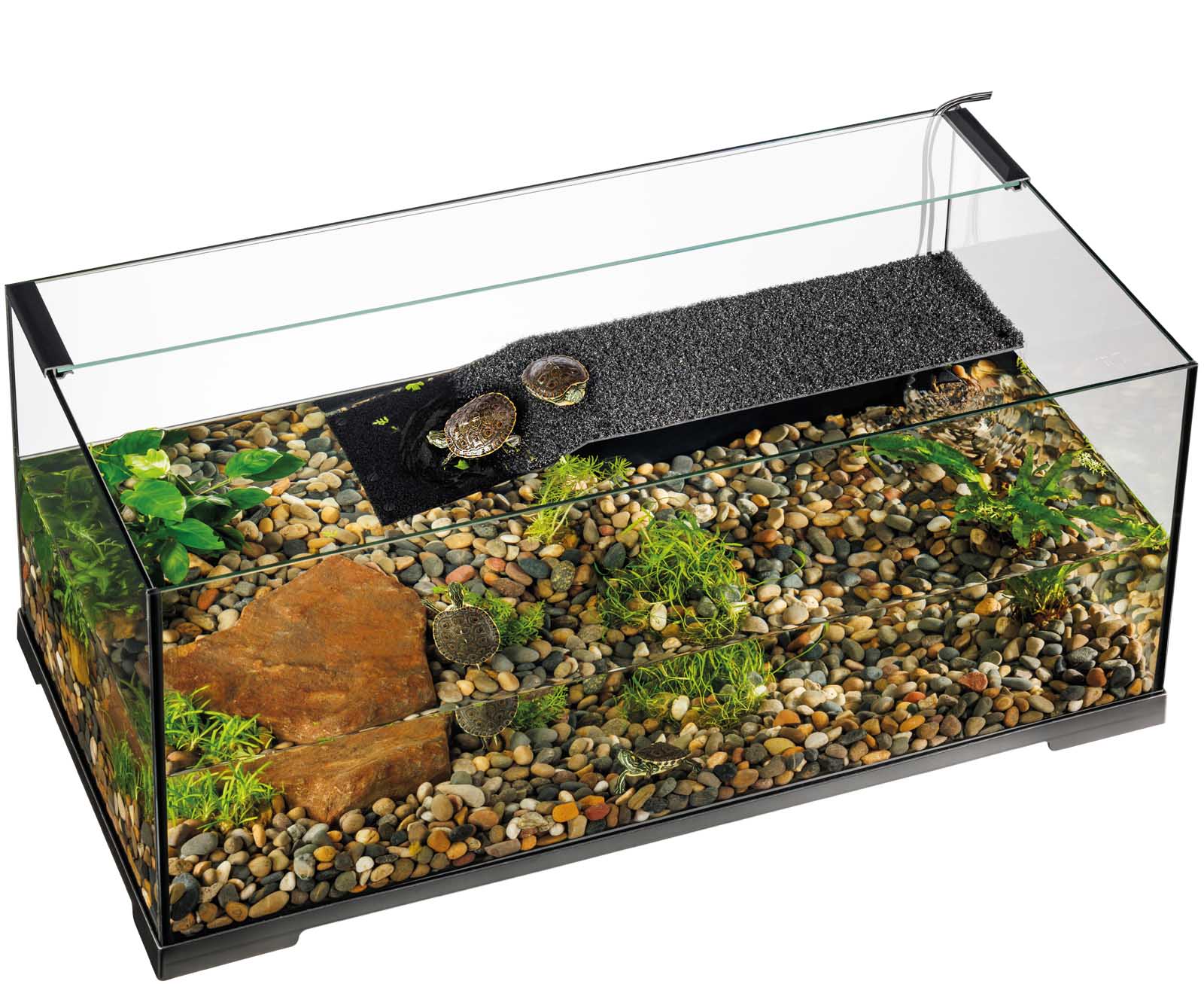 Terrariums