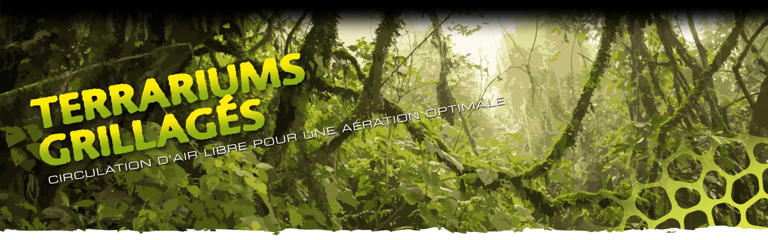 Screen Terrariums Header