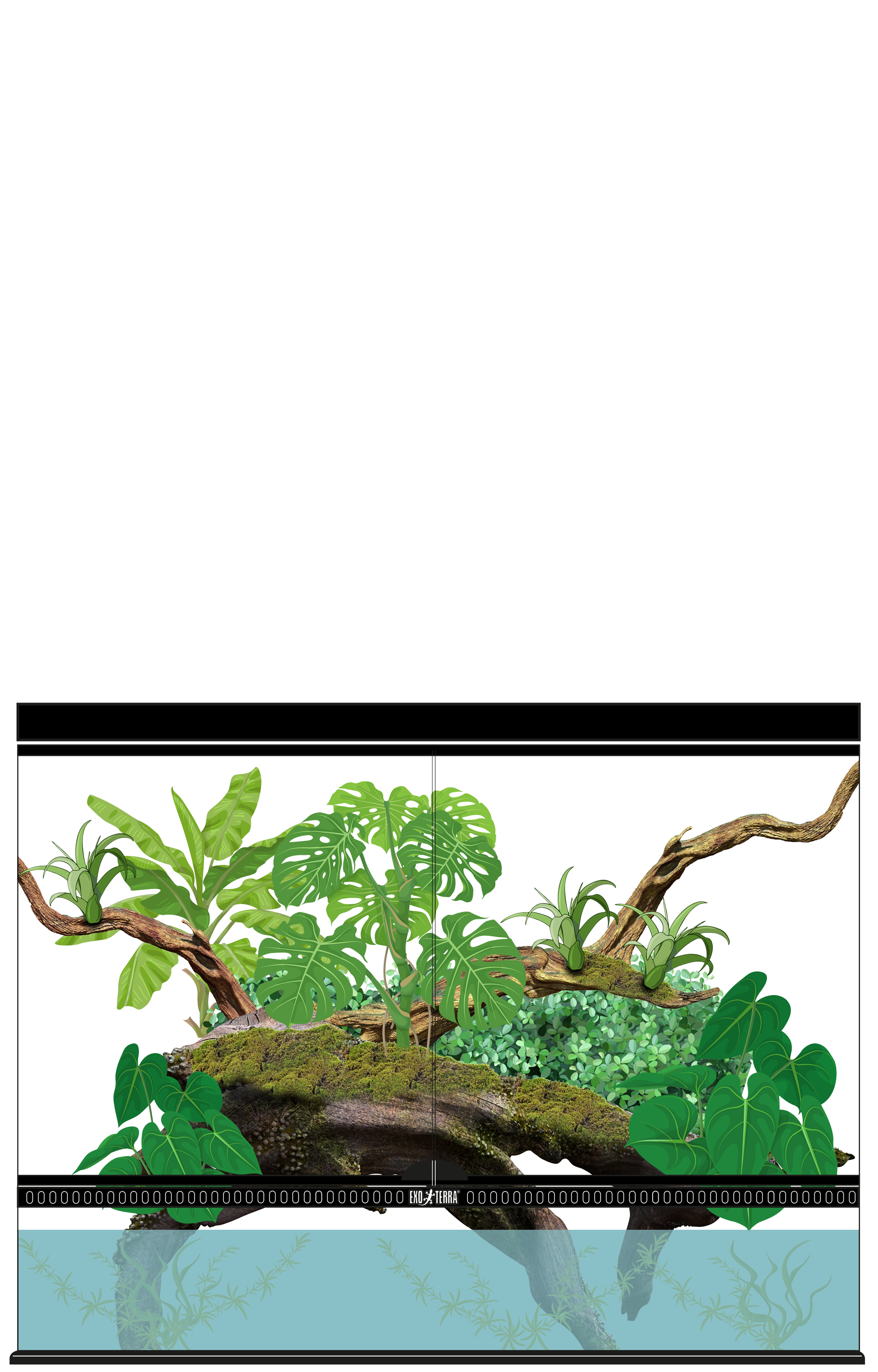 Tropical Aqua Terrarium