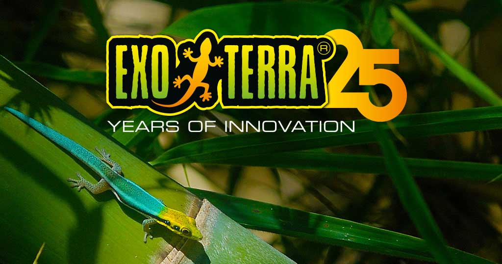 25 Years of Innovation