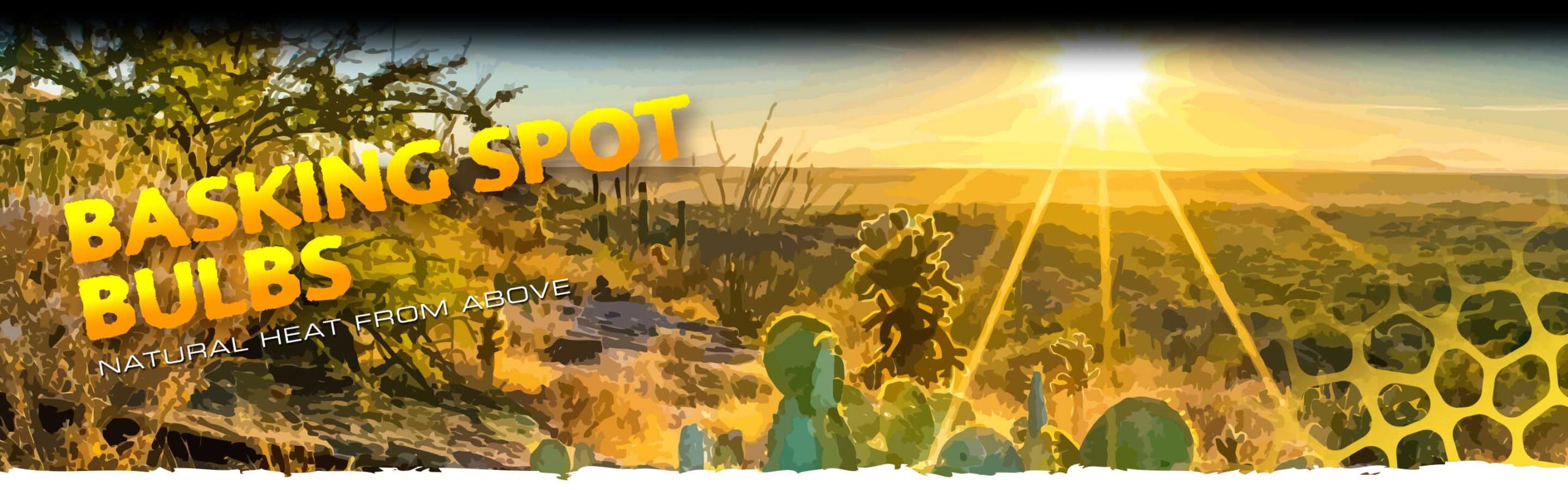 Basking Spots Header
