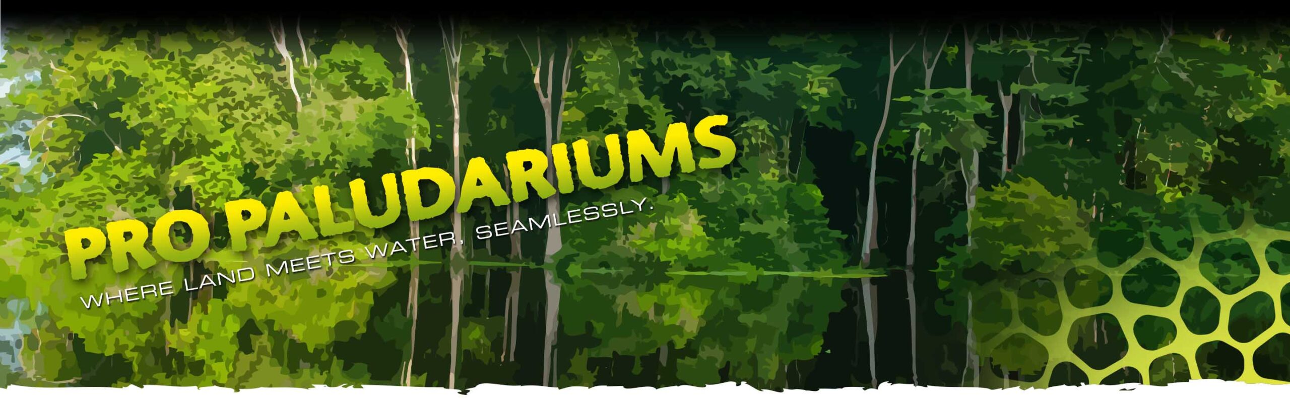Pro Paludariums