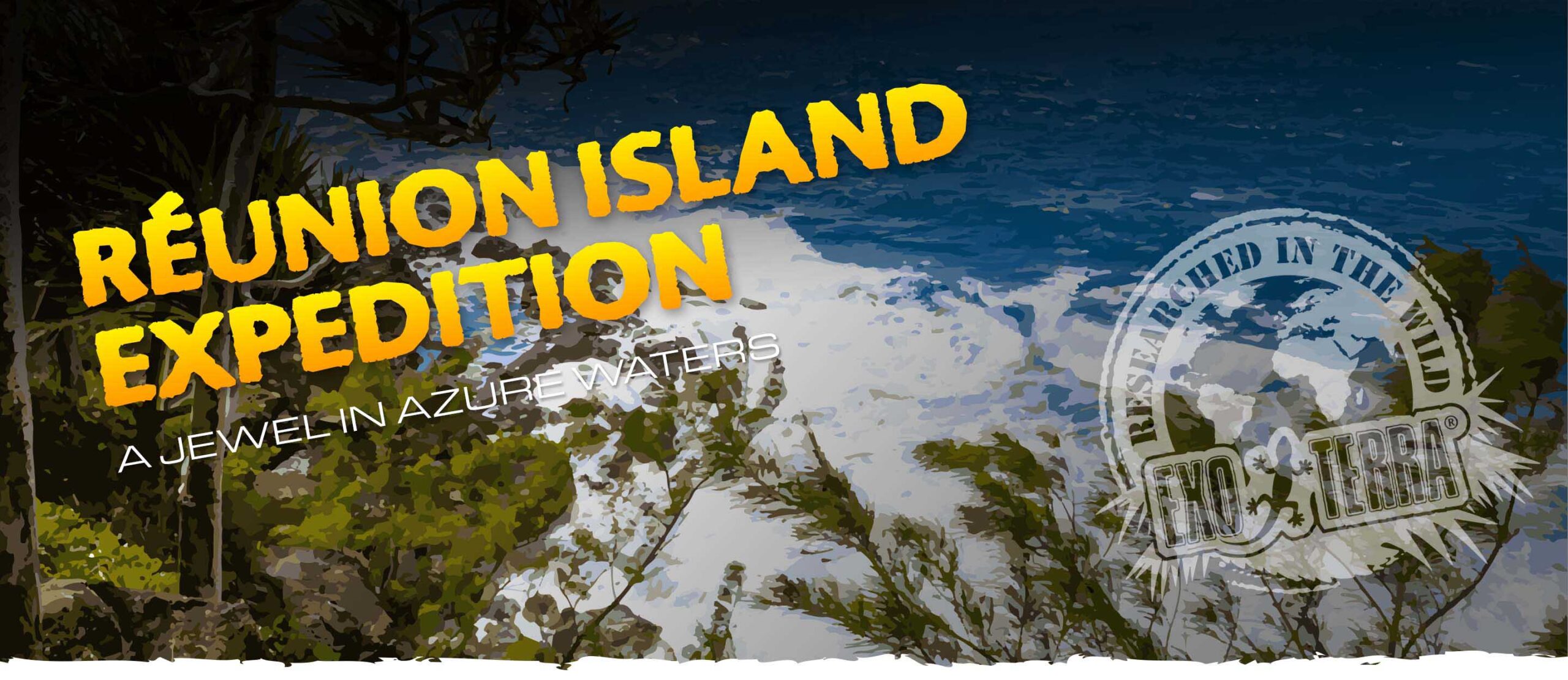 R&eacute;union Island