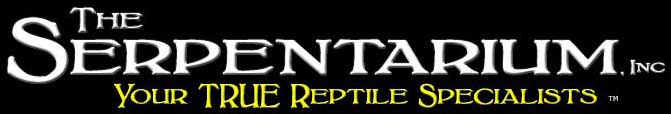 Online Retailers